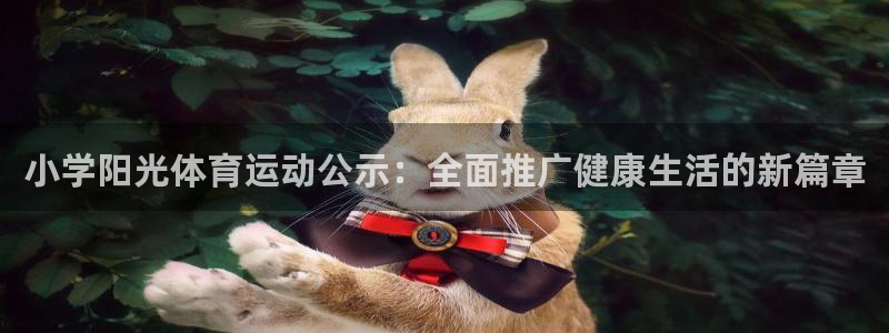 沐鸣24平台：小学阳光体育运动公示：全面推广健康生活的新篇章