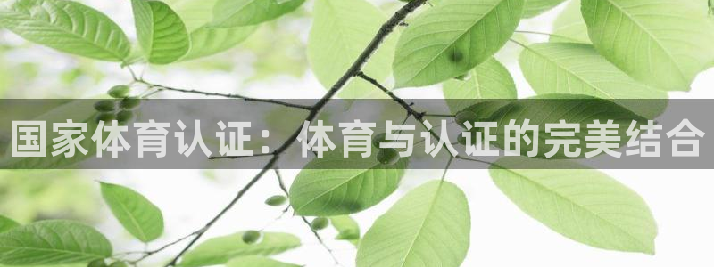 沐鸣25注册：国家体育认证：体育与认证的完美结合