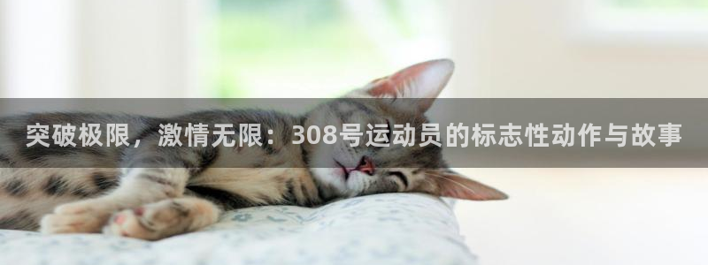 德国意昂集团：突破极限，激情无限：308号运动员的标志性动作与故事