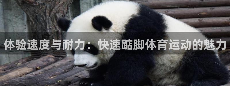 意昂体育注册：体验速度与耐力：快速踮脚体育运动的魅力