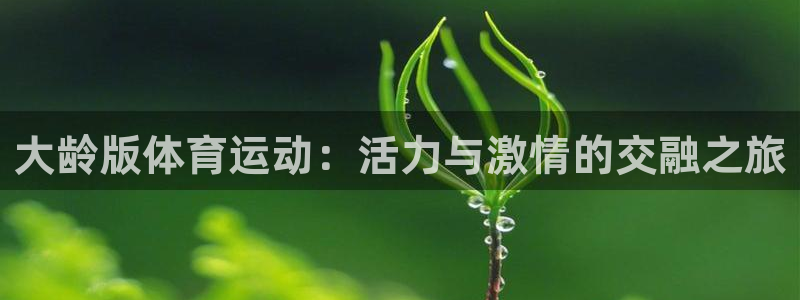 沐鸣24开户：大龄版体育运动：活力与激情的交融之旅