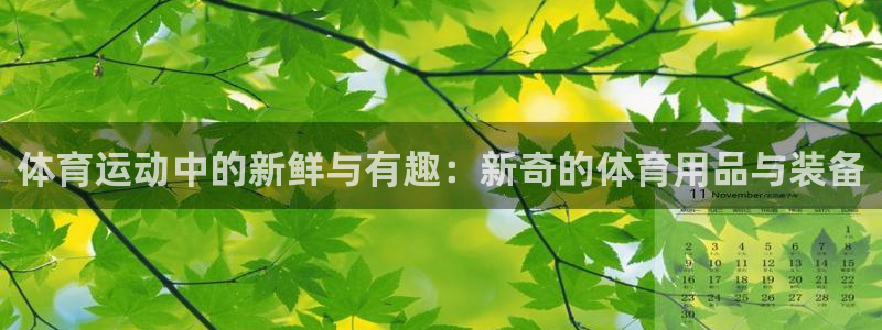 沐鸣2体育：体育运动中的新鲜与有趣：新奇的体育用品与装备