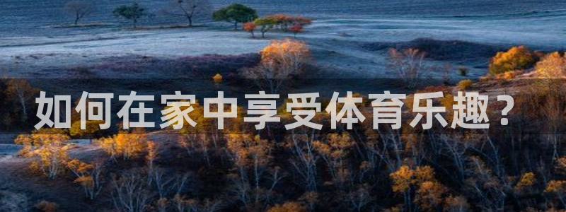 意昂平台：如何在家中享受体育乐趣？