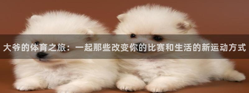 北京意昂科技有限公司：大爷的体育之旅：一起那些改变你的比赛和生活的新运动方式