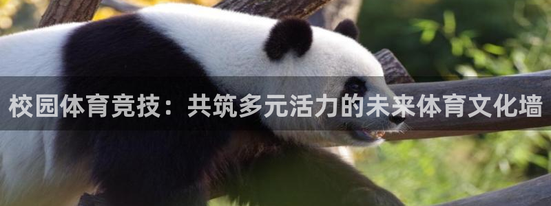 意昂4：校园体育竞技：共筑多元活力的未来体育文化墙