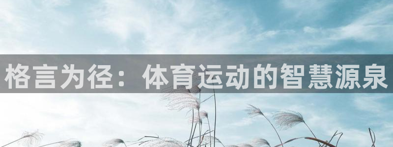 沐鸣2体育：格言为径：体育运动的智慧源泉